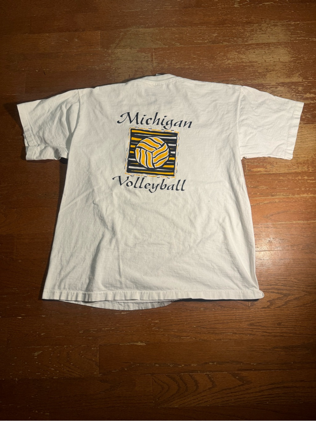 90s Vintage Michigan Volleyball Back Graphic Tee